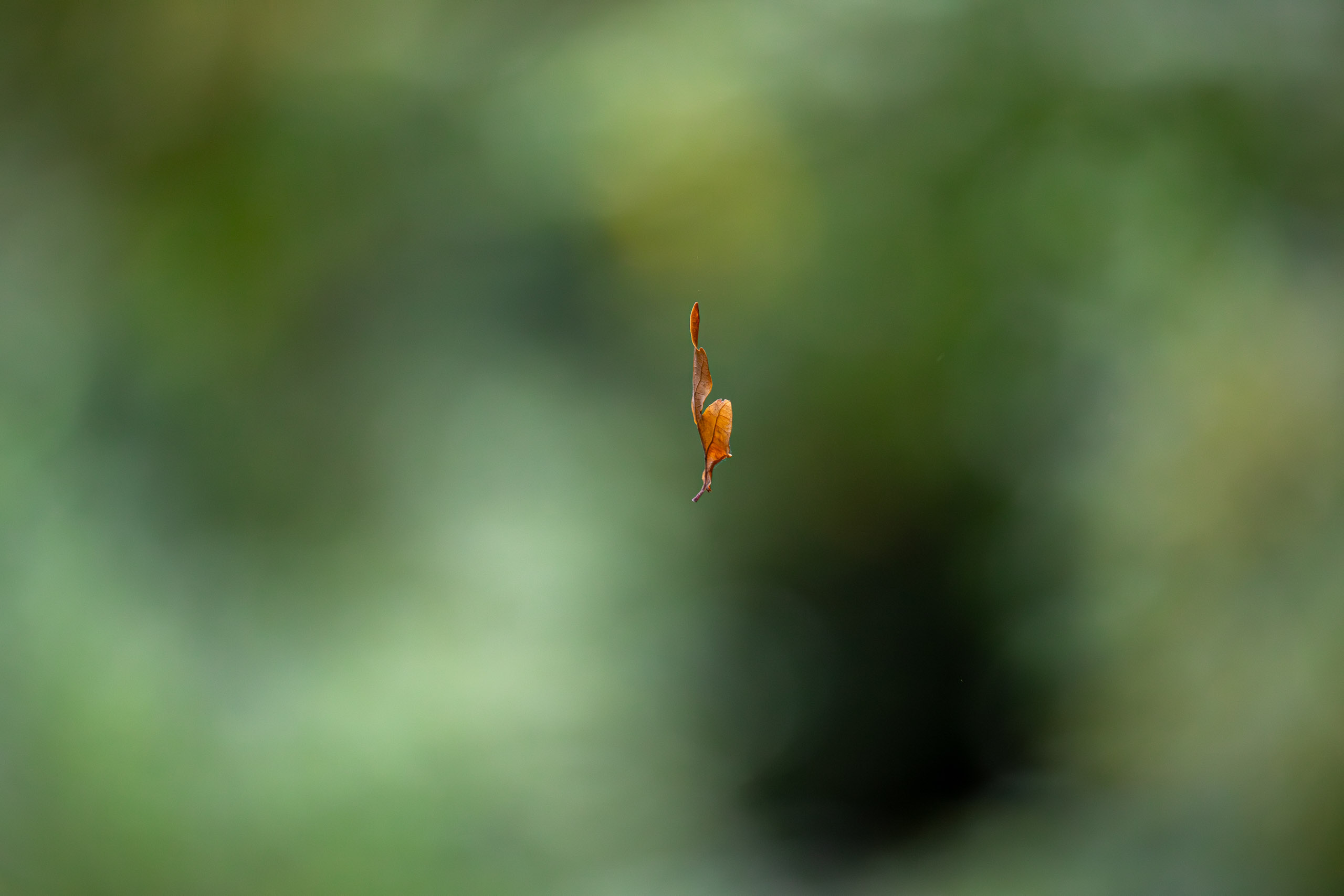 20231014102851 RD4 4694 e